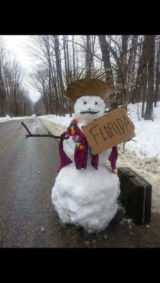 fla snowman.jpg